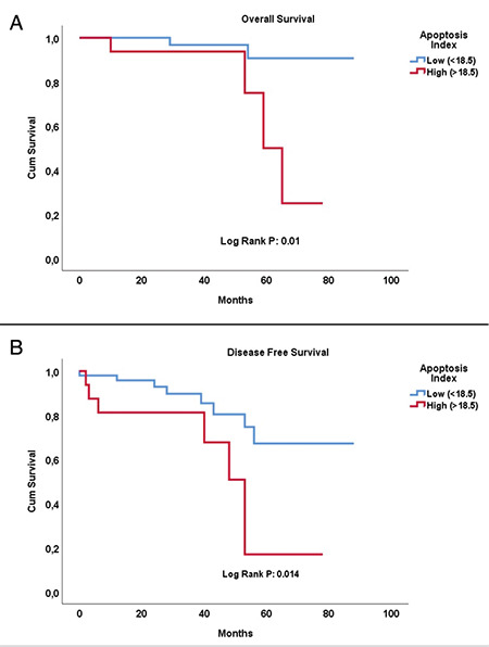 Does Apoptotic Index Predict the Response to Neoadjuvant Chemotherapy in Patients with Breast Carcinoma?