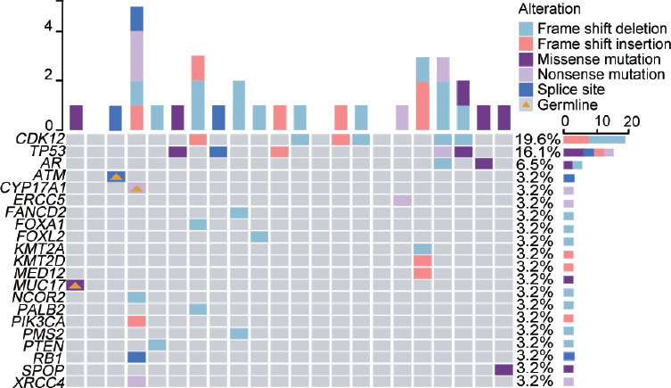 PD-1 inhibitor plus anlotinib for metastatic castration-resistant prostate cancer: a real-world study.