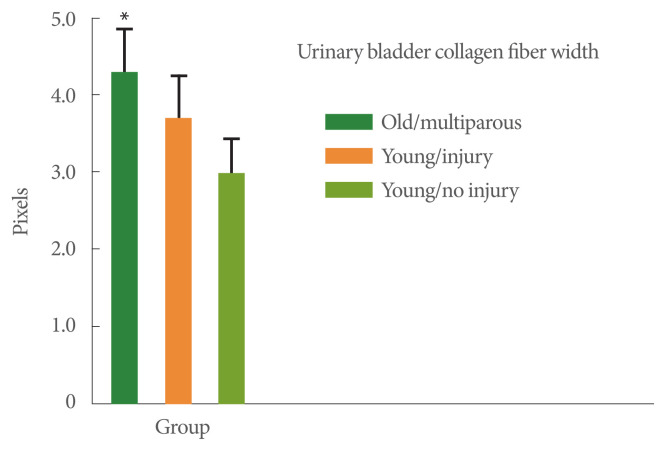 Effects of Age and Multiple Vaginal Births on Lower Urinary Tract Structure and Function in Nonhuman Primates.