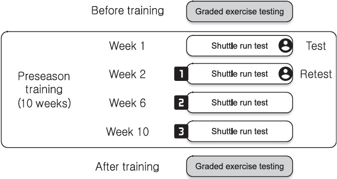 Reliability and validity of the 21-m shuttle-run test and its application to youth soccer players during the preseason training.