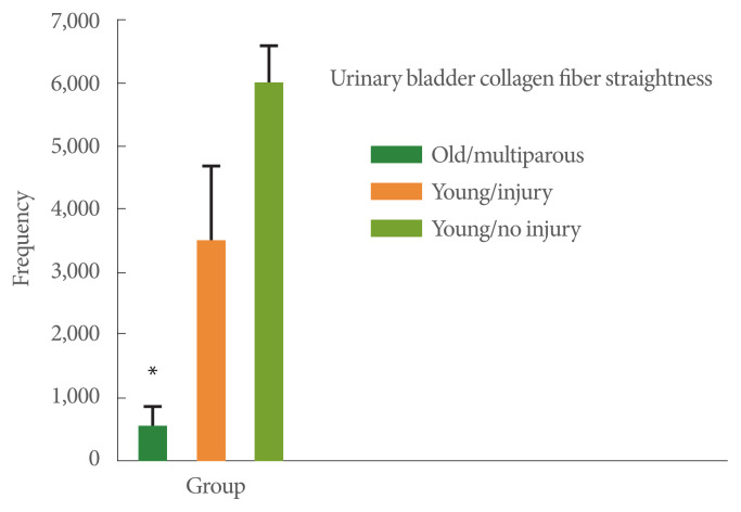 Effects of Age and Multiple Vaginal Births on Lower Urinary Tract Structure and Function in Nonhuman Primates.