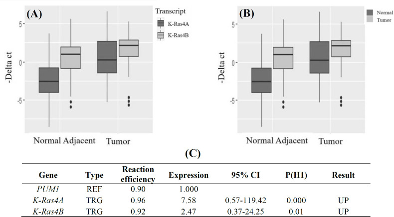 K-Ras4A Plays a More Significant Role than K-Ras4B in Ductal Carcinoma of Breast.