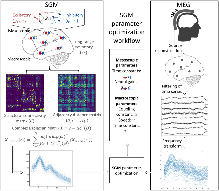 Impaired long-range excitatory time scale predicts abnormal neural oscillations and cognitive deficits in Alzheimer's disease.