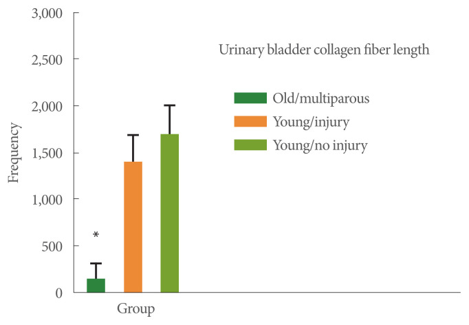 Effects of Age and Multiple Vaginal Births on Lower Urinary Tract Structure and Function in Nonhuman Primates.