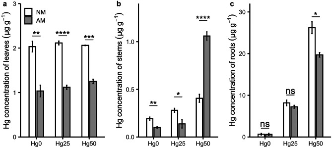 Rhizophagus irregularis improves Hg tolerance of Medicago truncatula by upregulating the Zn transporter genes ZIP2 and ZIP6.