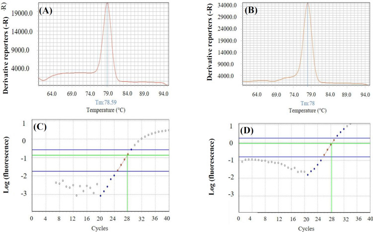 K-Ras4A Plays a More Significant Role than K-Ras4B in Ductal Carcinoma of Breast.