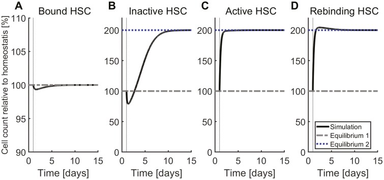 HSC Niche Dynamics in Regeneration, Pre-malignancy, and Cancer: Insights From Mathematical Modeling.