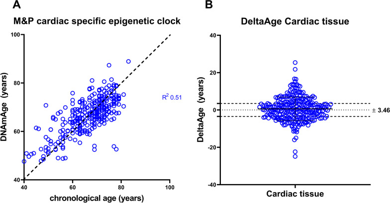 Distinguishable DNA methylation defines a cardiac-specific epigenetic clock.