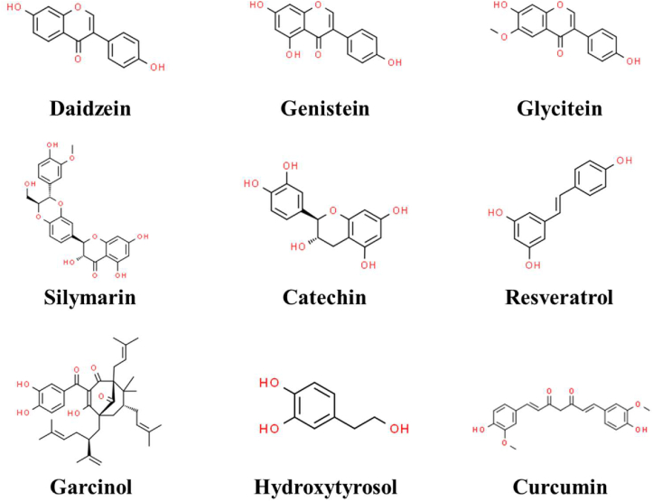 Plant-derived polyphenols in sow nutrition: An update