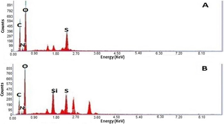 Controlled release of silica-coated insulin-loaded chitosan nanoparticles as a promising oral administration system.