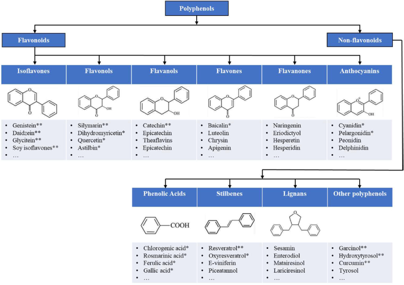 Plant-derived polyphenols in sow nutrition: An update