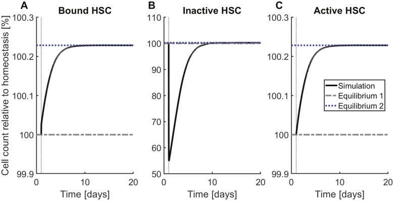 HSC Niche Dynamics in Regeneration, Pre-malignancy, and Cancer: Insights From Mathematical Modeling.