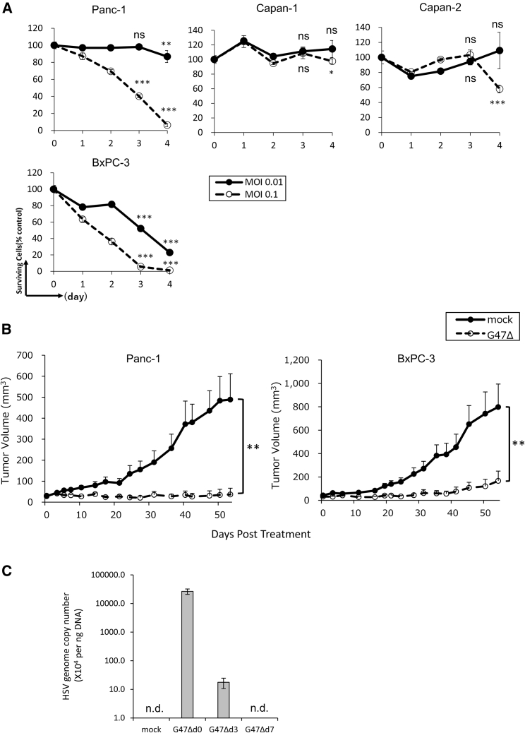 Overcoming resistance of stroma-rich pancreatic cancer with focal adhesion kinase inhibitor combined with G47Δ and immune checkpoint inhibitors.