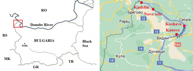 Ecological study on helminths of three species of Gobiidae from the Danube River, Bulgaria.