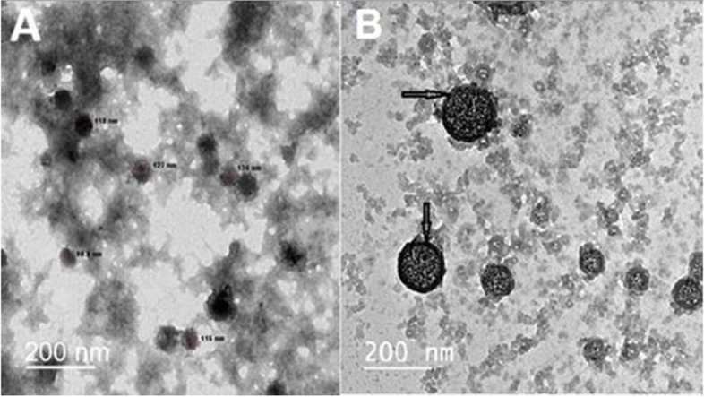 Controlled release of silica-coated insulin-loaded chitosan nanoparticles as a promising oral administration system.