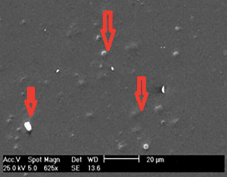 Synthesis and Characterization of Thymol-Loaded Niosomal Film for the Prevention of Implant-Related Infection.