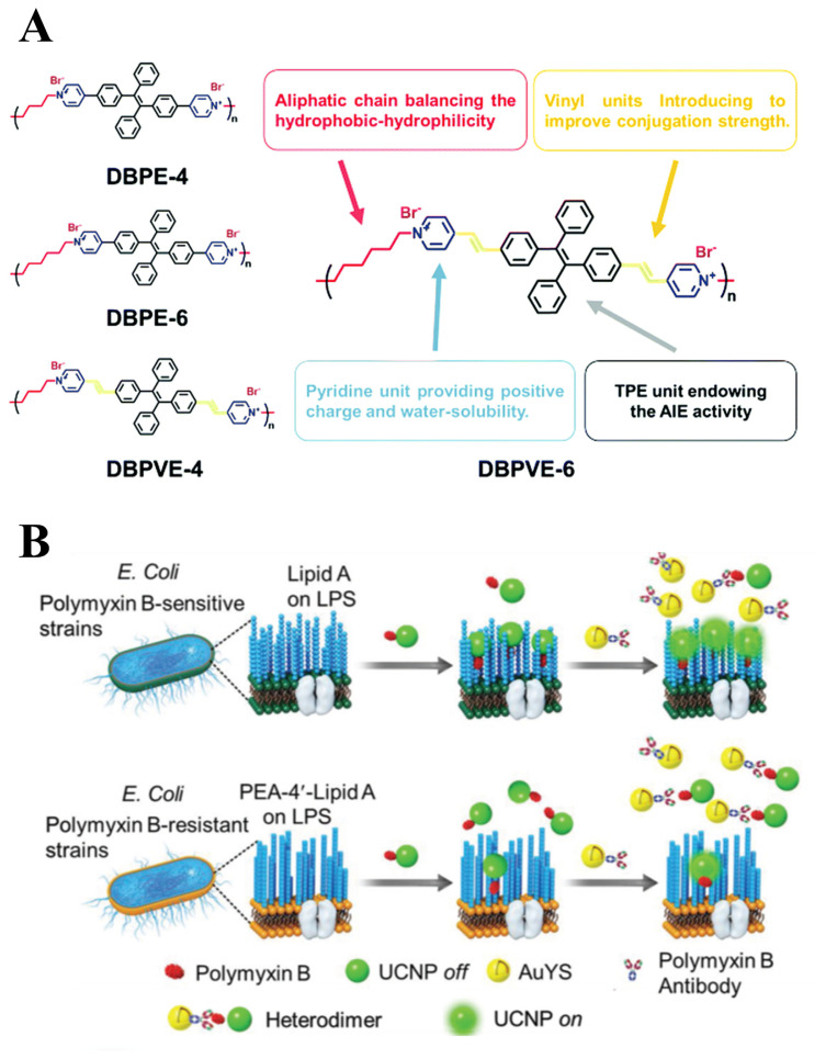 Recent developments in detection and therapeutic approaches for antibiotic-resistant bacterial infections.