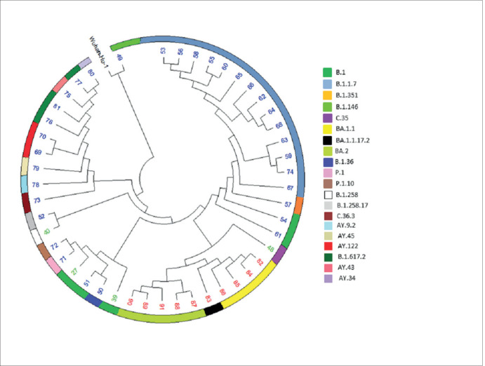 Phylogenetic Changes in SARS-CoV-2 Virus in Bosnian-Herzegovinian Population Over the Period of Two Years.