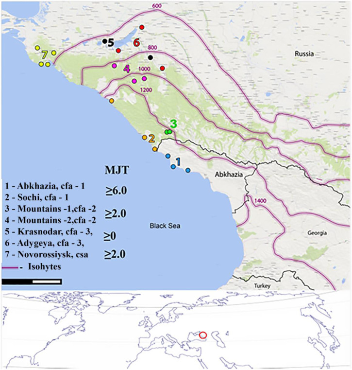 Genetic Structure of <i>Aedes</i> (<i>Stegomyia</i>) <i>albopictus</i> Populations in Russia.