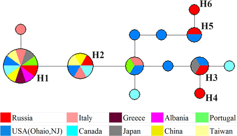 Genetic Structure of <i>Aedes</i> (<i>Stegomyia</i>) <i>albopictus</i> Populations in Russia.