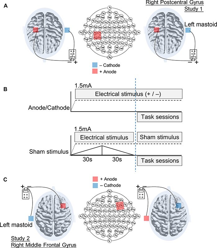 Transcranial direct current stimulation (tDCS) targeting the postcentral gyrus reduces malevolent creative ideation.