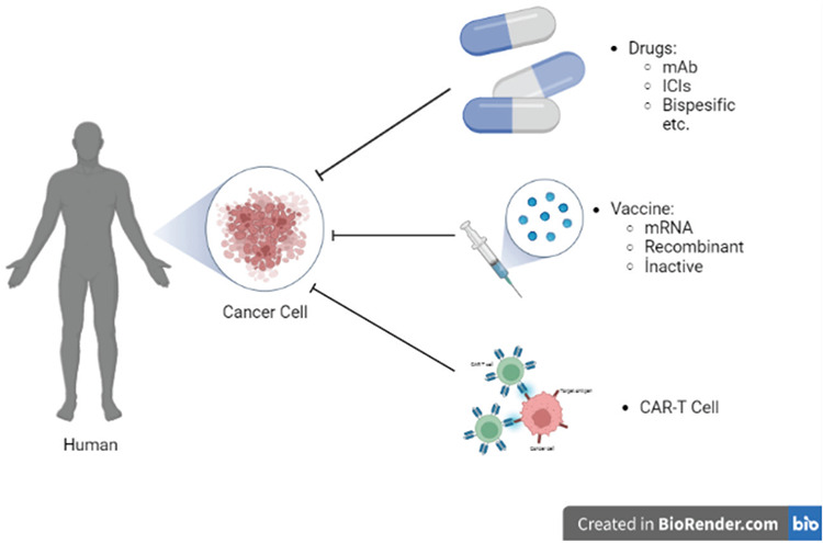 Current Advances and Future Prospects in Cancer Immunotherapeutics.