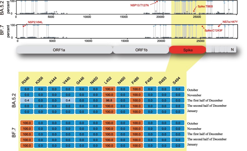 Evolutionary analysis of Omicron variant BF.7 and BA.5.2 pandemic in China