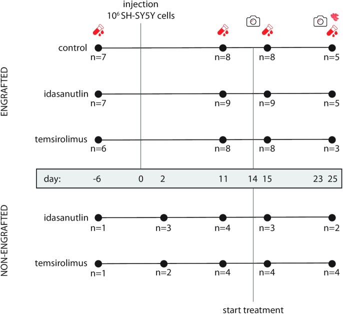 Longitudinal evaluation of serum microRNAs as biomarkers for neuroblastoma burden and therapeutic p53 reactivation.