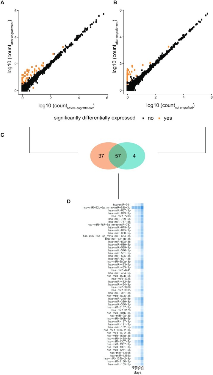 Longitudinal evaluation of serum microRNAs as biomarkers for neuroblastoma burden and therapeutic p53 reactivation.