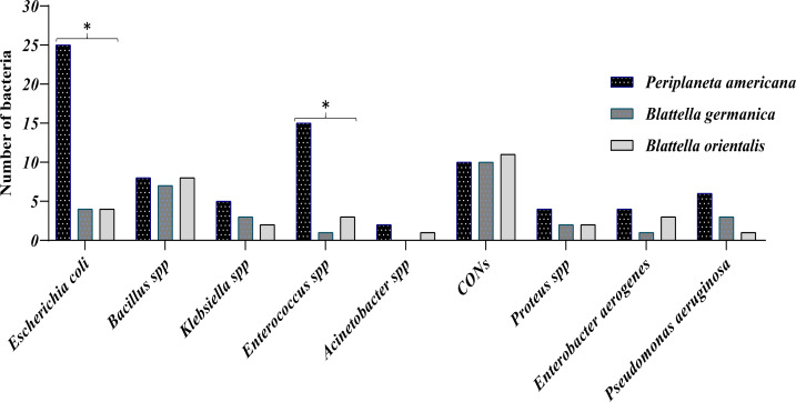 Bacterial Contamination of Collected Cockroaches and Determination Their Antibiotic Susceptibility in Khorramabad City, Iran.