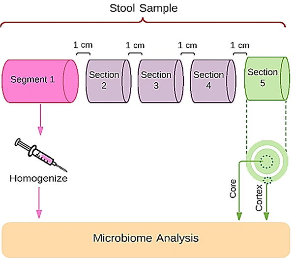 Accelerating Gut Microbiome Research with Robust Sample Collection.