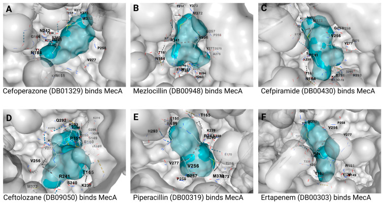 Computational Screening of Approved Drugs for Inhibition of the Antibiotic Resistance Gene <i>mecA</i> in Methicillin-Resistant <i>Staphylococcus aureus</i> (MRSA) Strains.