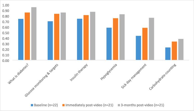 A picture is worth a thousand words: A culturally-tailored video-based approach to diabetes education in Somali families of children with type 1 diabetes