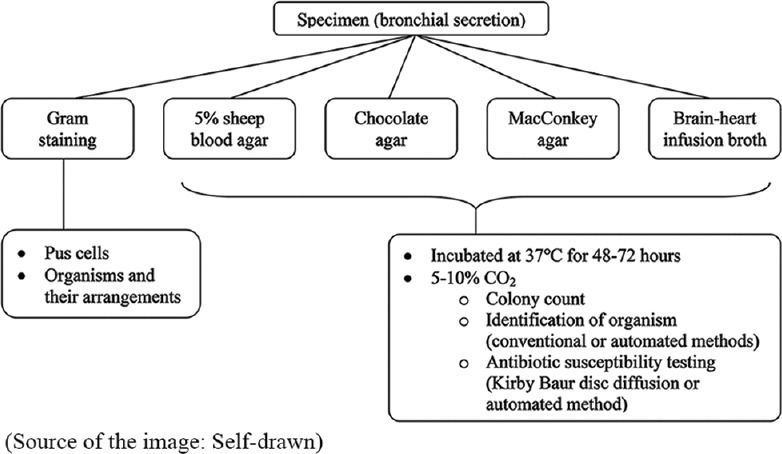 A clinical study on the pattern of antimicrobial drug use and drug resistance in patients with ventilator-associated pneumonia in a tertiary care hospital.