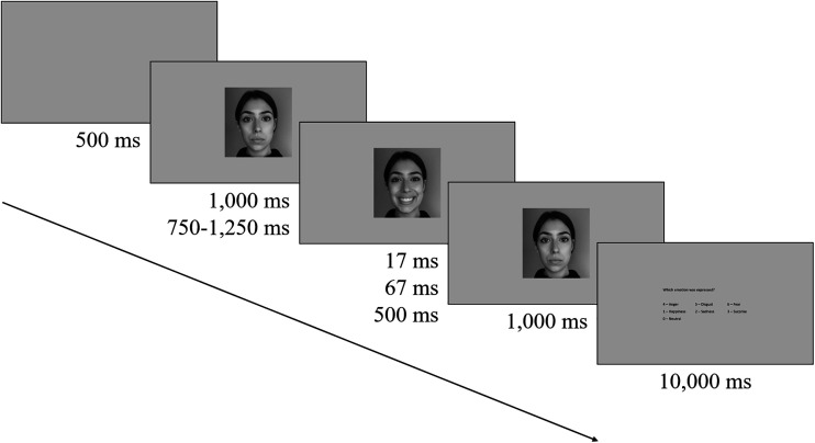 Effects of forward mask duration variability on the temporal dynamics of brief facial expression categorization.