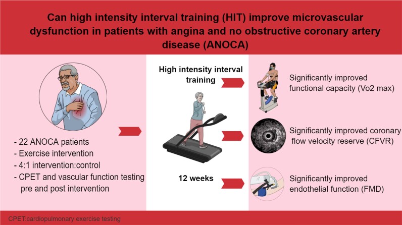 Aerobic high-intensity interval exercise training in patients with angina and no obstructive coronary artery disease: feasibility and physiological effects.