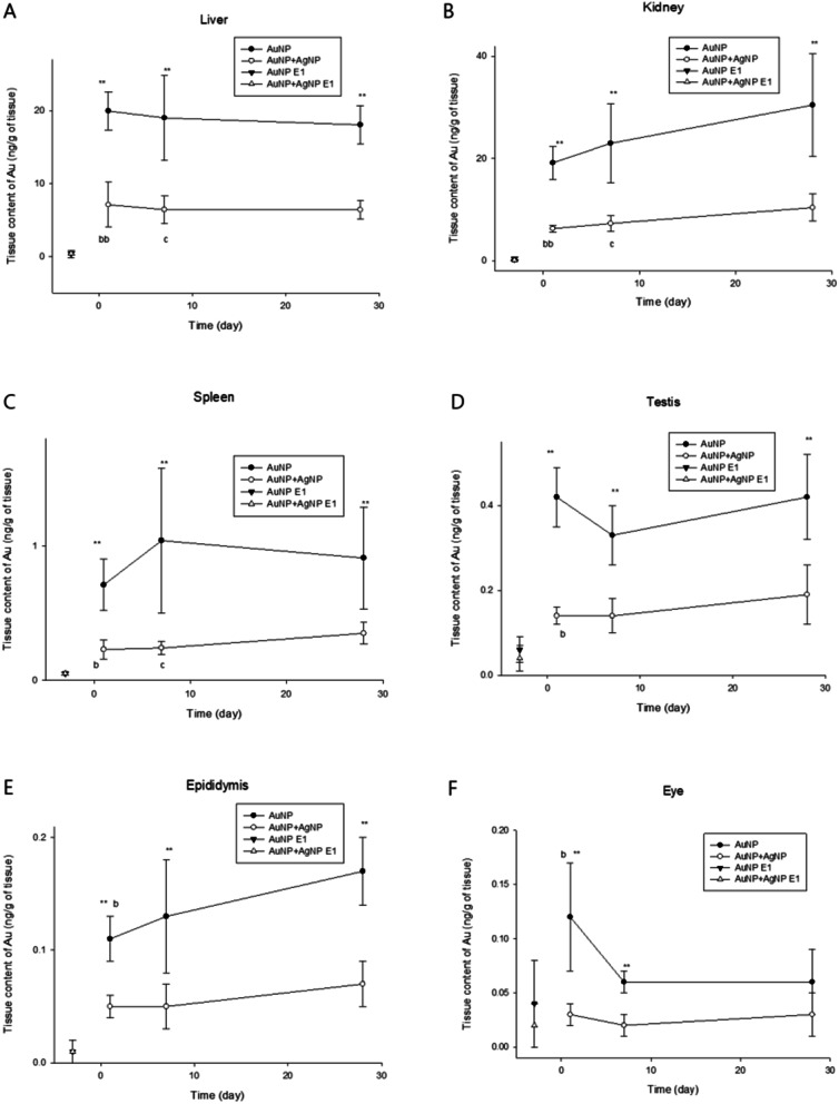 Biokinetics of subacutely co-inhaled same size gold and silver nanoparticles.