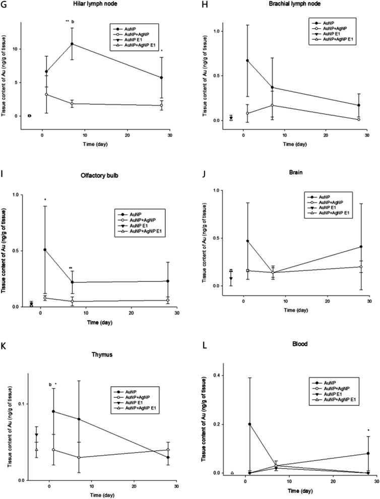 Biokinetics of subacutely co-inhaled same size gold and silver nanoparticles.