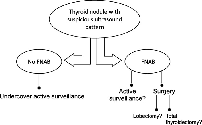 Conservative management of low-risk papillary thyroid carcinoma: a review of the active surveillance experience.