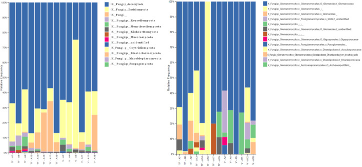 Exploring the mycobiome and arbuscular mycorrhizal fungi associated with the rizosphere of the genus <i>Inga</i> in the pristine Ecuadorian Amazon.