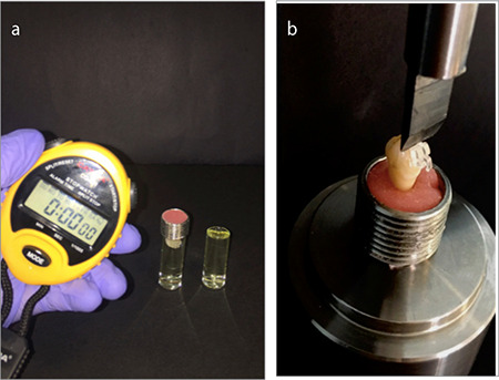 <i>In Vitro</i> Evaluation of the Effects of Different Chemical Solvent Agents on Shear Bond Strength of Ceramic Orthodontic Brackets.