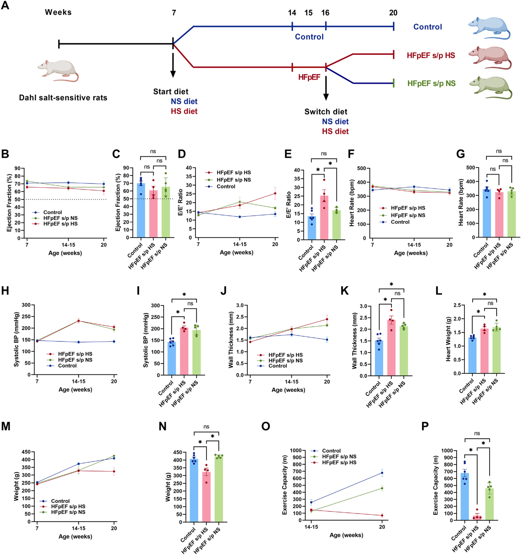 Diet modification reverses diastolic dysfunction in rats with heart failure and preserved ejection fraction