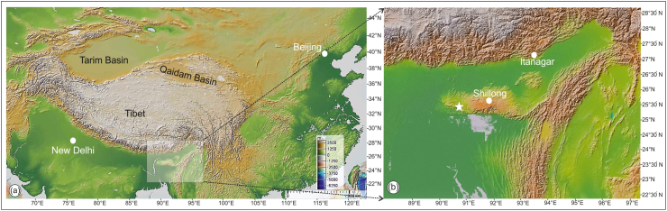 Legumes from the Paleocene sediments of India and their ecological significance