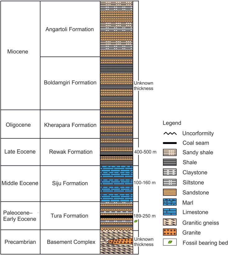 Legumes from the Paleocene sediments of India and their ecological significance