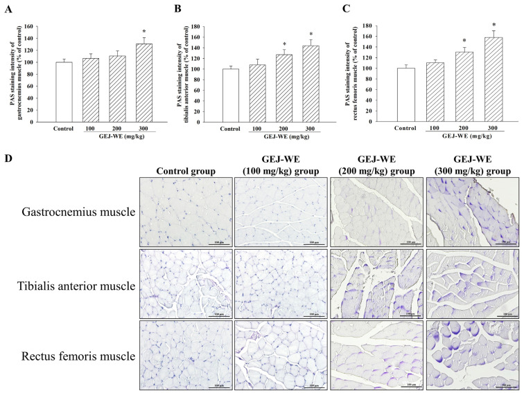 Guilu Erxian Jiao enhances protein synthesis, glucose homeostasis, mitochondrial biogenesis and slow-twitch fibers in the skeletal muscle.