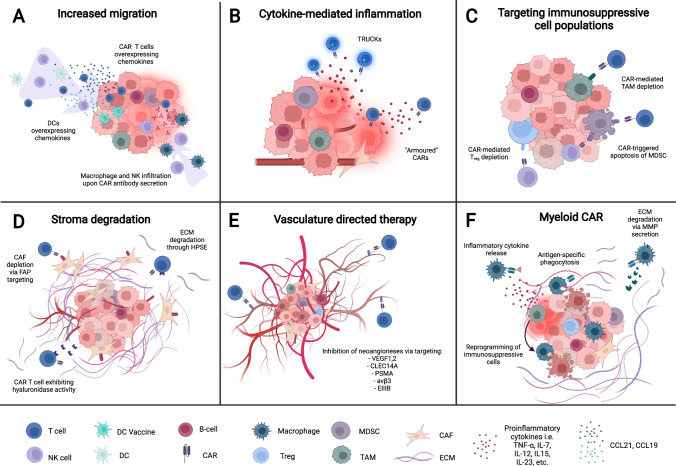 Beyond direct killing-novel cellular immunotherapeutic strategies to reshape the tumor microenvironment.