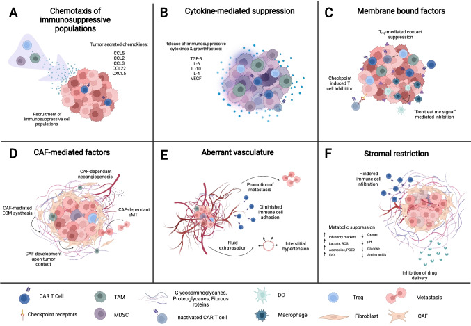 Beyond direct killing-novel cellular immunotherapeutic strategies to reshape the tumor microenvironment.