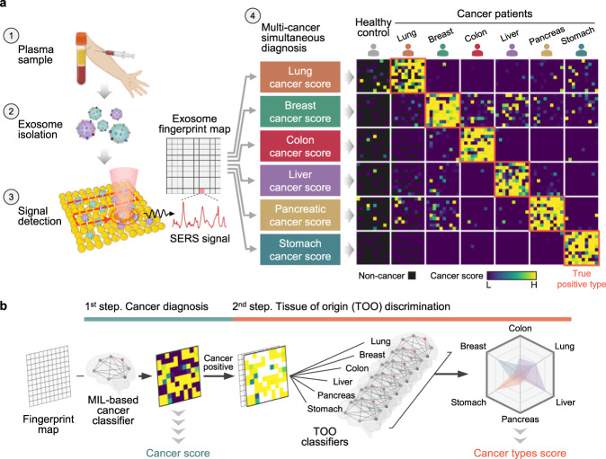 Single test-based diagnosis of multiple cancer types using Exosome-SERS-AI for early stage cancers.