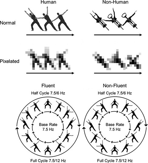 The role of objecthood and animacy in apparent movement processing.