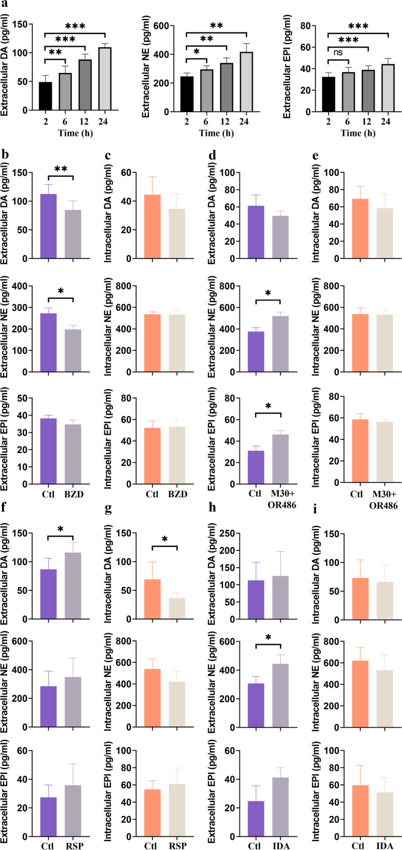 Components of the sympathetic nervous system as targets to modulate inflammation - rheumatoid arthritis synovial fibroblasts as neuron-like cells?